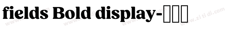 fields Bold display字体转换